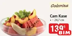 COLORİNA CAM KASE 24,7 CM